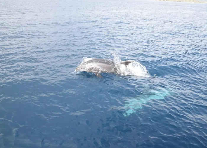 Hercegovina Апартаменты